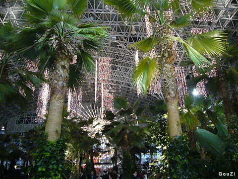 Crystal Garden - Navy Pier