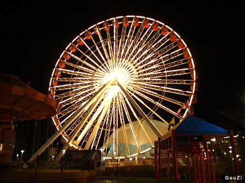 Ferris Wheel - Navy Pier