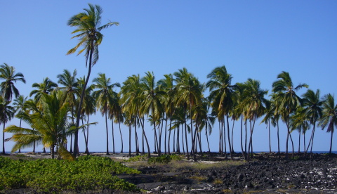 Hawaii: Place of refuge