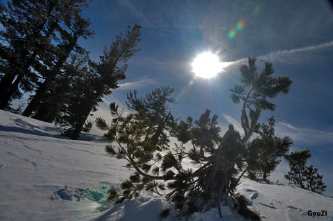 Ski Sierra Nevada