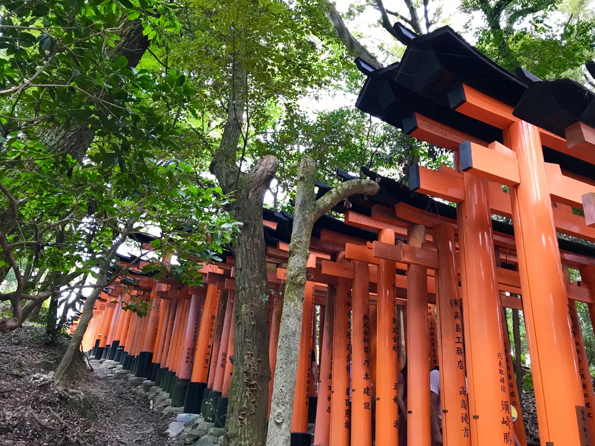 Fushimi Inari, Kyoto, Japan