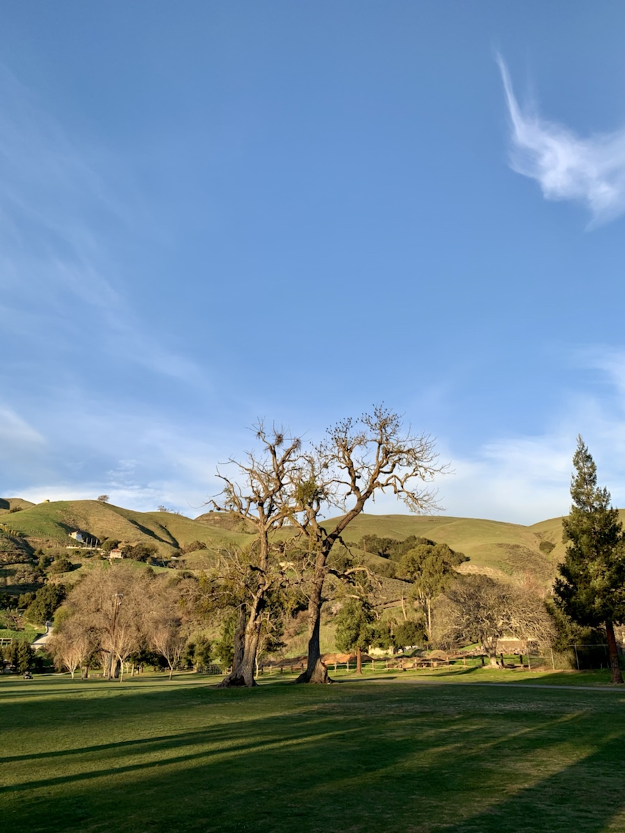 Spring Valley Golf Course, Milpitas, CA​