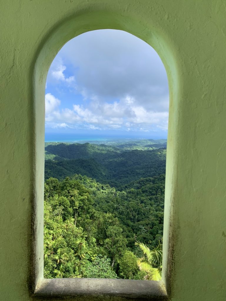 El Yunke National Forest, Puerto Rico​