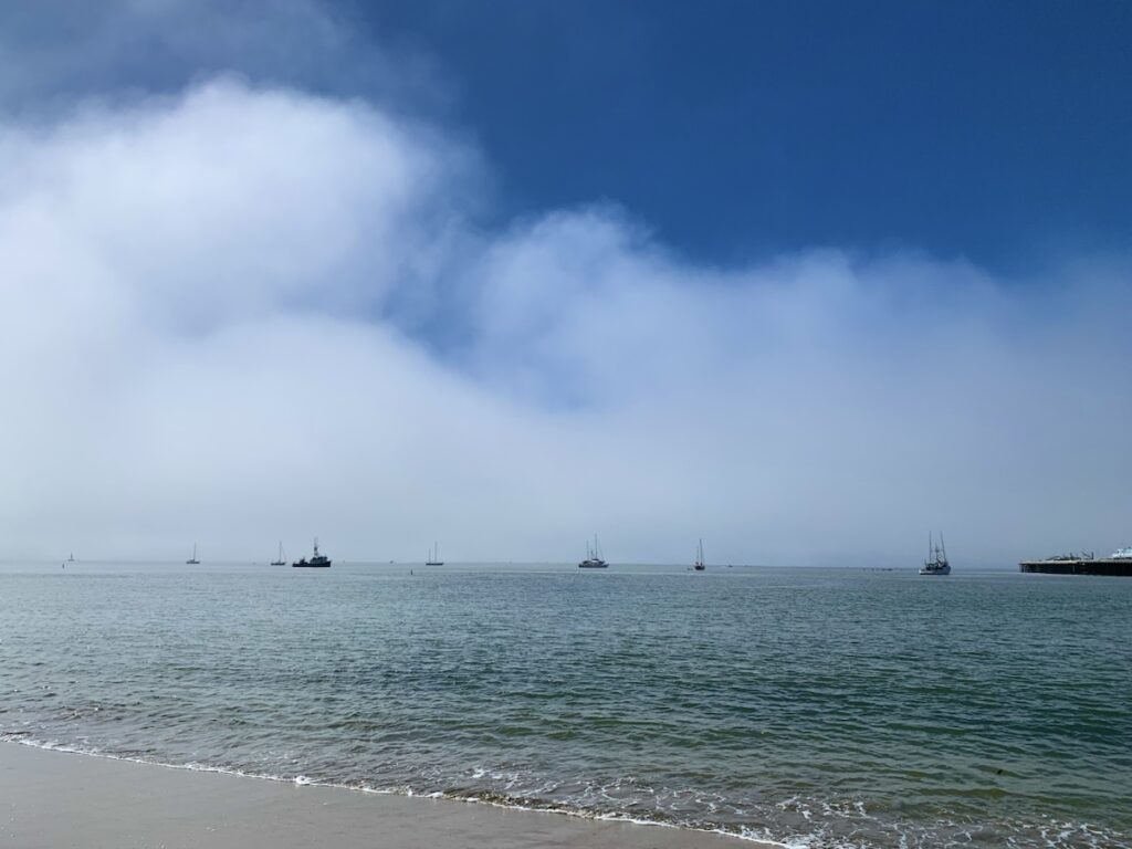 Santa Cruz Beach, CA​