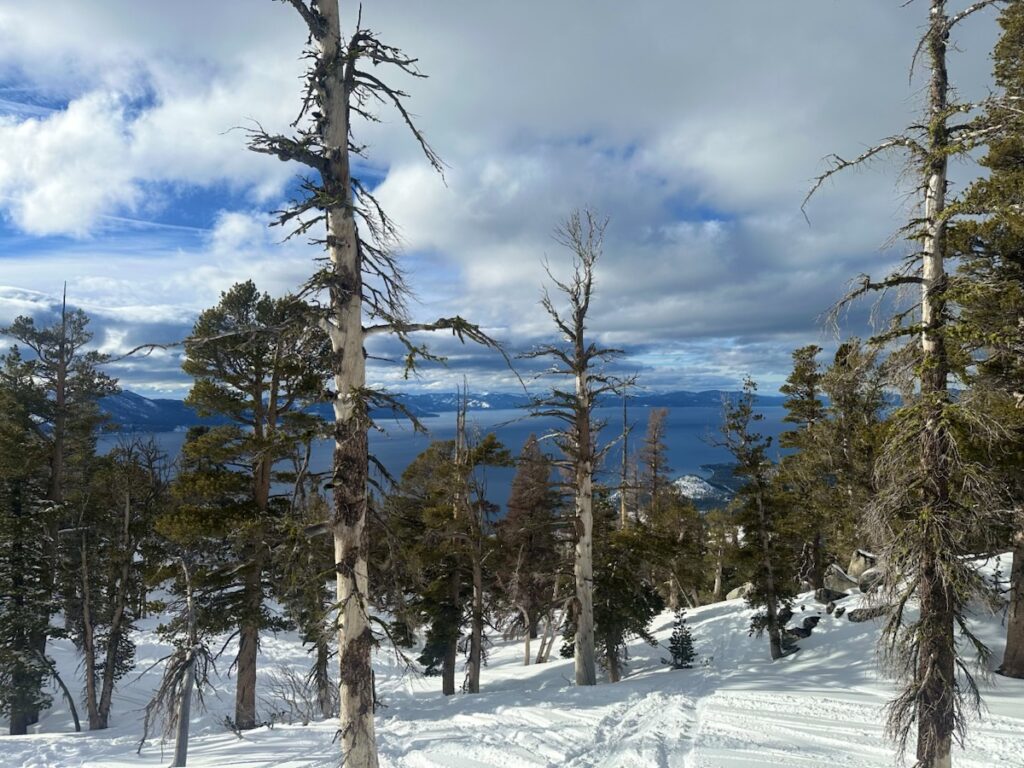 Fire Break Gate, Heavenly, CA​
