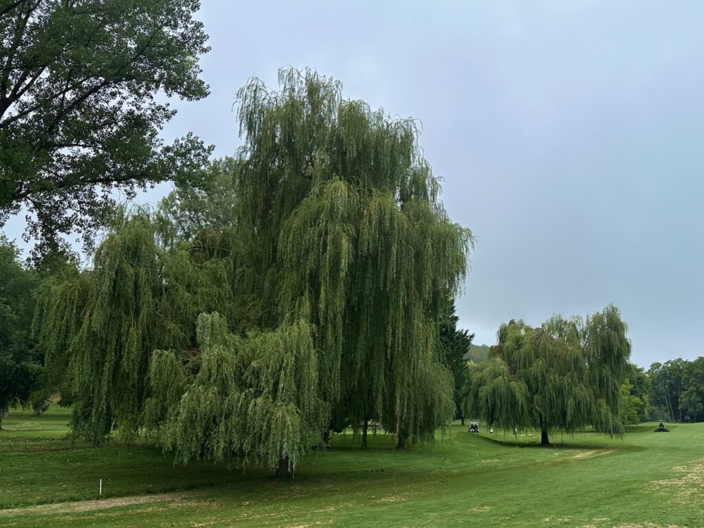Lolivarie Golf Club, Saint-Germain-de-Belvès, France